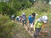Thumbnail of pic_Wai_018.jpg