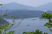 Thumbnail of pic_KL_Sin_052.jpg