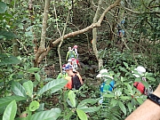 Thumbnail of P6240081.JPG