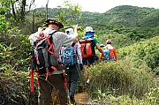 Thumbnail of pic_KL_Sin_031.jpg