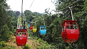 Thumbnail of pic_Billy_Lau_107.jpg