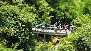 Thumbnail of pic_Billy_Lau_274.jpg