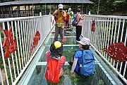 Thumbnail of pic_Sam_Ho_112.JPG