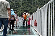 Thumbnail of pic_Tony_Tse_165.jpg