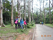 Thumbnail of pic_Sam_Ho_004.JPG