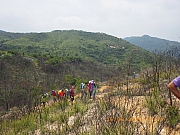 Thumbnail of pic_Wai_133.jpg