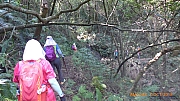 Thumbnail of pic_Apple_Lee_114.jpg