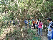 Thumbnail of pic_Wai_055.jpg