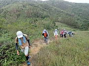 Thumbnail of pic_Wai_085.jpg