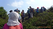 Thumbnail of pic_Apple_Lee_132.jpg