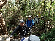 Thumbnail of PA280008.JPG