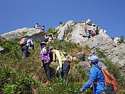 Thumbnail of pic_Wai_071.jpg