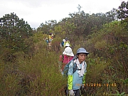 Thumbnail of pic_Wai_060.jpg