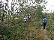 Thumbnail of PB110045.JPG