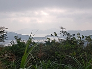 Thumbnail of pic_CL_Yip_008.jpg