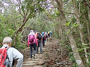 Thumbnail of pic_Thomas_Leung_034.jpg