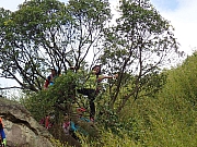 Thumbnail of pic_Thomas_Leung_060.jpg