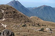 Thumbnail of pic_Tony_Tse_030.jpg
