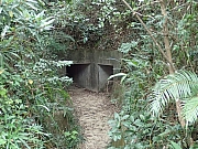 Thumbnail of PC090010.JPG