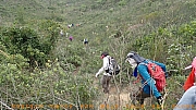 Thumbnail of pic_Billy_Lau_061.jpg