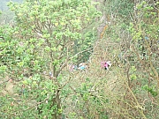 Thumbnail of pic_Kin_Ma_065.jpg