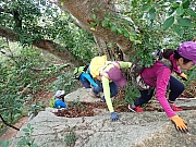 Thumbnail of pic_Wai_145.jpg