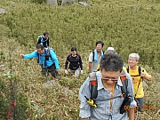 Thumbnail of pic_Sam_Ho_029.JPG
