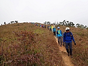 Thumbnail of pic_Wai_172.jpg