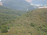 Thumbnail of pic_Kin_Ma_053.jpg