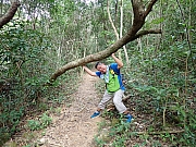 Thumbnail of pic_Wai_075.jpg