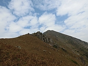 Thumbnail of pic_Victor_Cheng_138.jpg