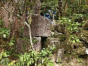 Thumbnail of pic_Victor_Cheng_153.jpg