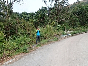 Thumbnail of pic_Wai_028.jpg