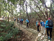 Thumbnail of pic_Thomas_Leung_109.jpg