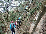 Thumbnail of pic_Wai_046.jpg