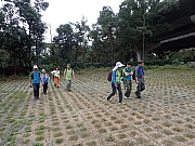 Thumbnail of P2100120.JPG