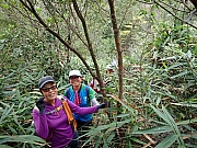 Thumbnail of pic_Wai_111.jpg