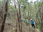 Thumbnail of pic_Wai_127.jpg