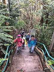 Thumbnail of pic_Paul_Tsang_010.jpg
