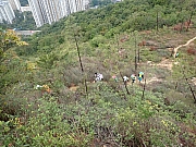Thumbnail of pic_Wai_013.jpg