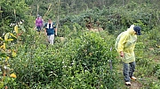 Thumbnail of pic_Billy_Lau_070.jpg