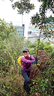 Thumbnail of pic_Billy_Lau_082.jpg