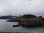 Thumbnail of pic_CL_Yip_042.jpg