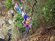 Thumbnail of pic_Wai_040.jpg
