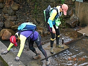 Thumbnail of pic_Sam_Ho_015.JPG