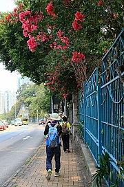 Thumbnail of pic_KL_Sin_065.JPG