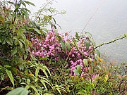 Thumbnail of pic_Thomas_Leung_063.jpg