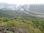 Thumbnail of pic_Thomas_Leung_131.jpg