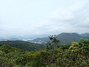 Thumbnail of pic_Thomas_Leung_028.jpg