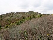 Thumbnail of pic_Wai_086.jpg